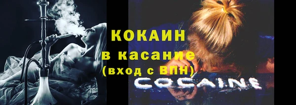 твердый Алексин