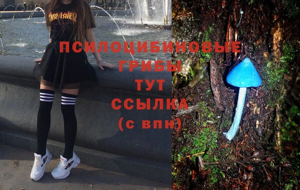 твердый Алексин
