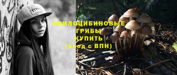экстази Алексеевка
