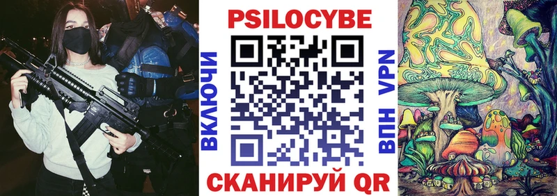OMG вход  Михайловск  Галлюциногенные грибы Psilocybine cubensis 