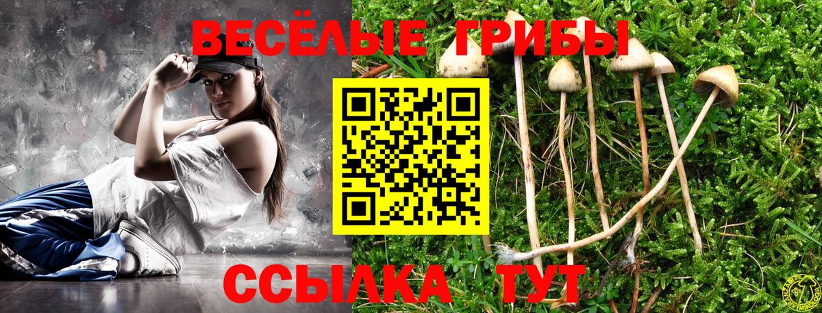 Галлюциногенные грибы ЛСД  Псилоцибиновые грибы прущие грибы  Вход с VPN  Михайловск 